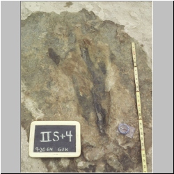 04-px84b-10-10 dodm2.jpg